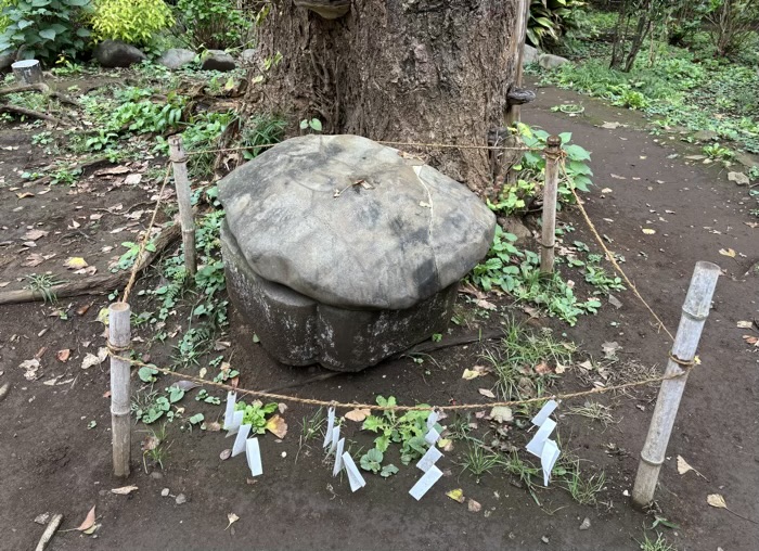 江ノ島　江島神社 奥津宮　亀石