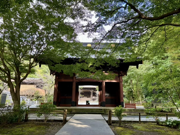 鎌倉　妙本寺