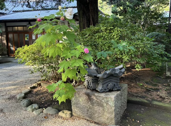 鎌倉　妙本寺　本堂