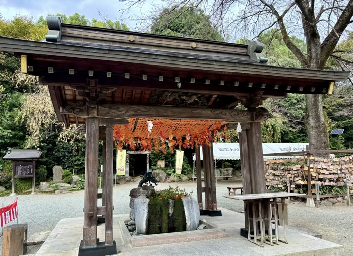 秦野　出雲大社相模分祠　手水舎