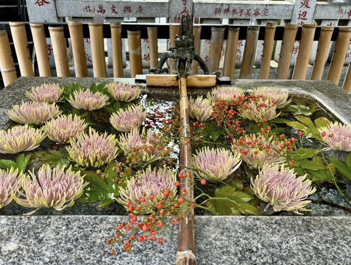 東京　杉並　高円寺氷川神社（気象神社）　花手水