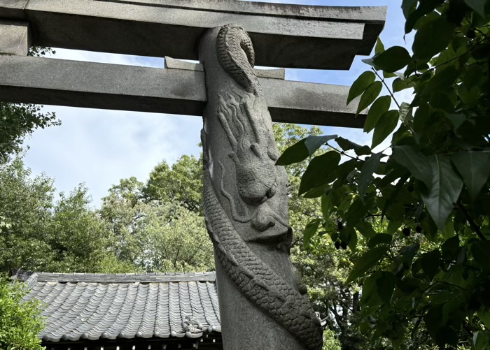 東京　宿鳳山高円寺　双龍鳥居