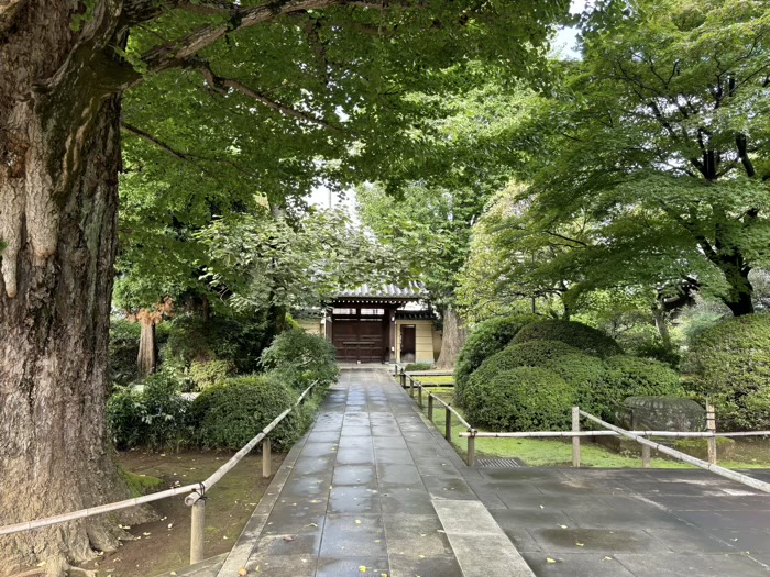 東京　宿鳳山高円寺