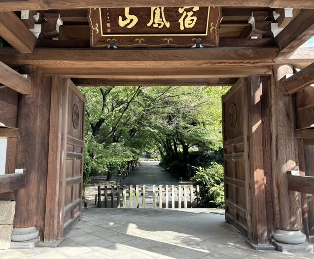 東京　宿鳳山高円寺