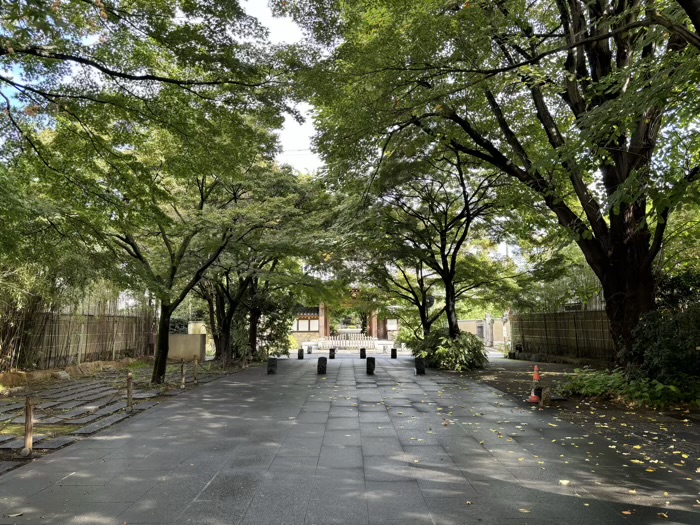 東京　宿鳳山高円寺　参道