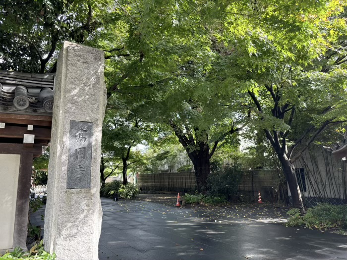 東京　宿鳳山高円寺　参道