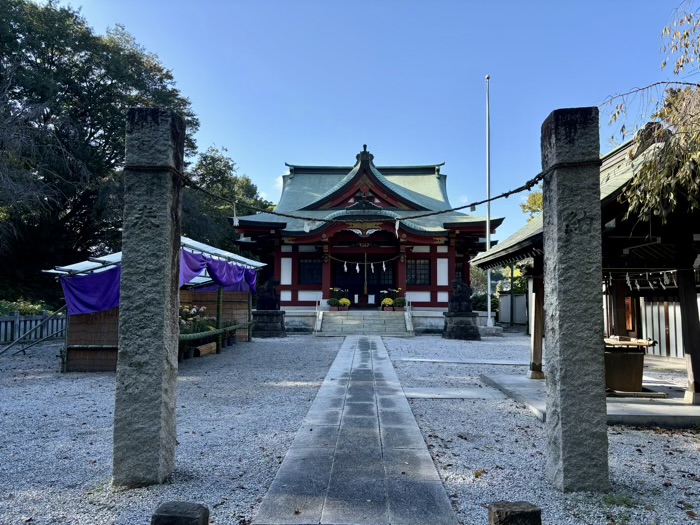 横浜　綱島諏訪神社　菊花展