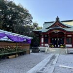 横浜　綱島諏訪神社　七五三＆菊花展