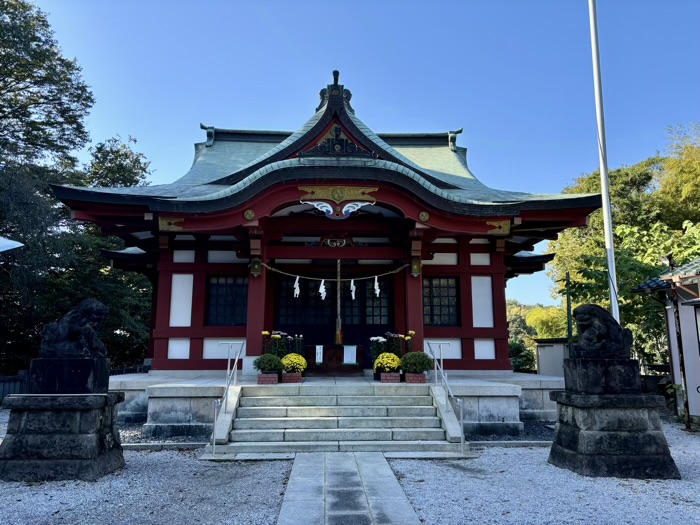 横浜　綱島諏訪神社　菊花展