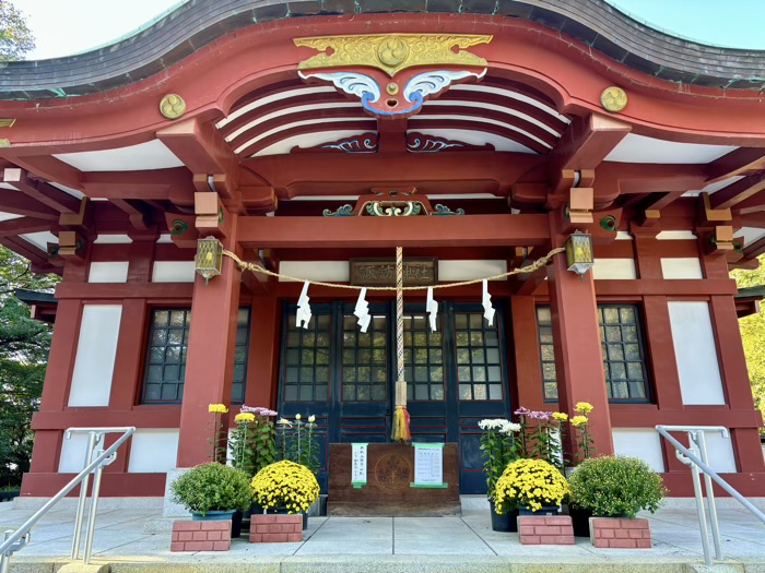 横浜　綱島諏訪神社　菊花展