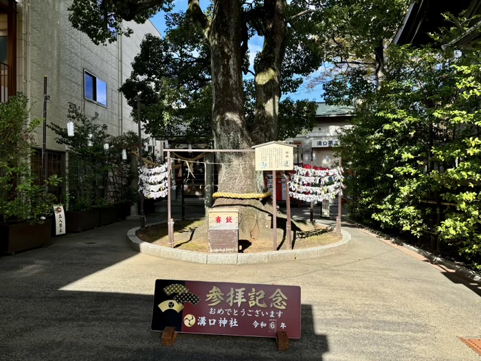 川崎　溝の口　溝口神社　七五三