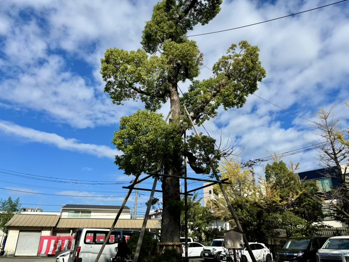 神奈川　川崎　溝口神社　駐車場