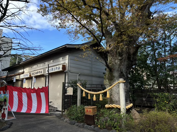 神奈川　川崎　溝口神社　長寿ケヤキ