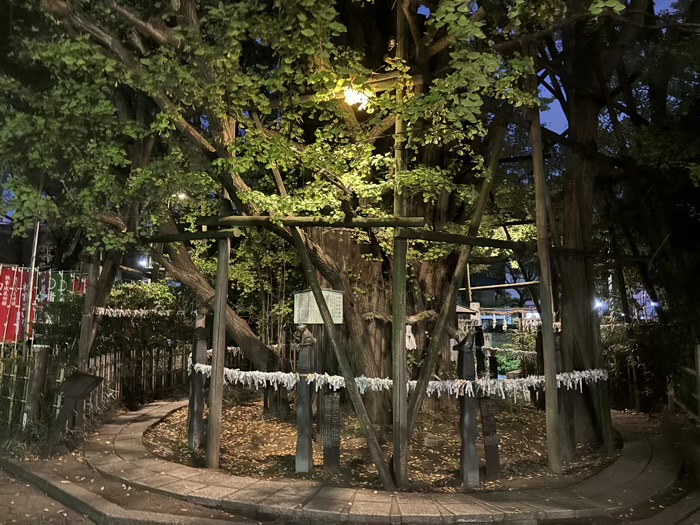 川崎　稲毛神社　酉の市　御神木大銀杏