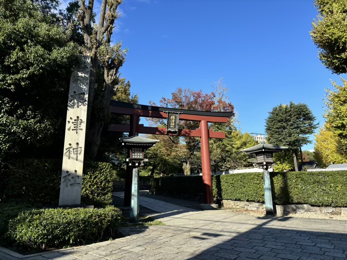 文京区　東京十社　根津神社　鳥居