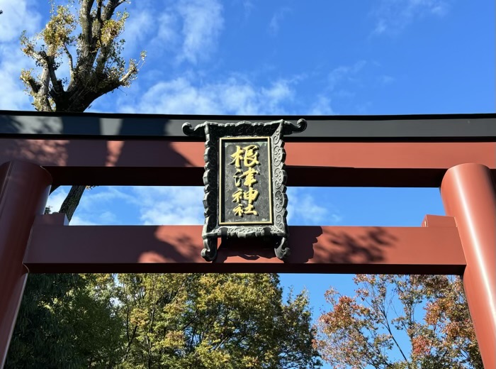 文京区　東京十社　根津神社　鳥居