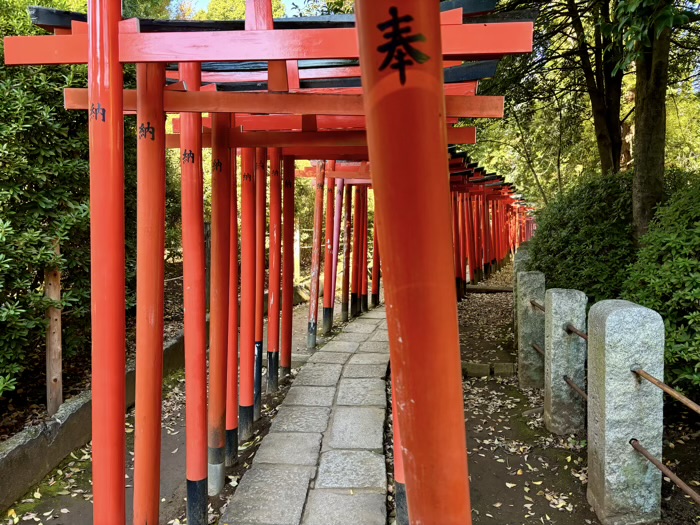 東京　文京区　根津神社