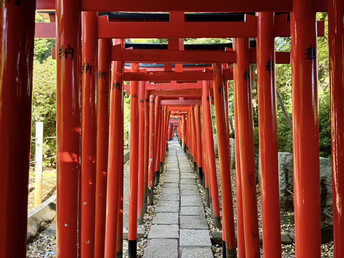 東京　文京区　根津神社　乙女稲荷神社