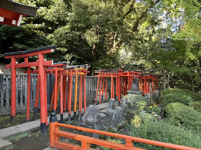 東京　文京区　根津神社　乙女稲荷神社