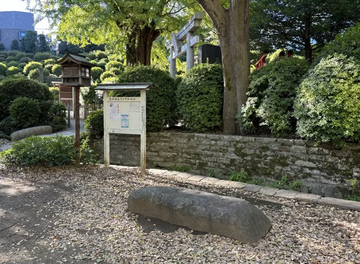 東京　文京区　根津神社　文豪の石