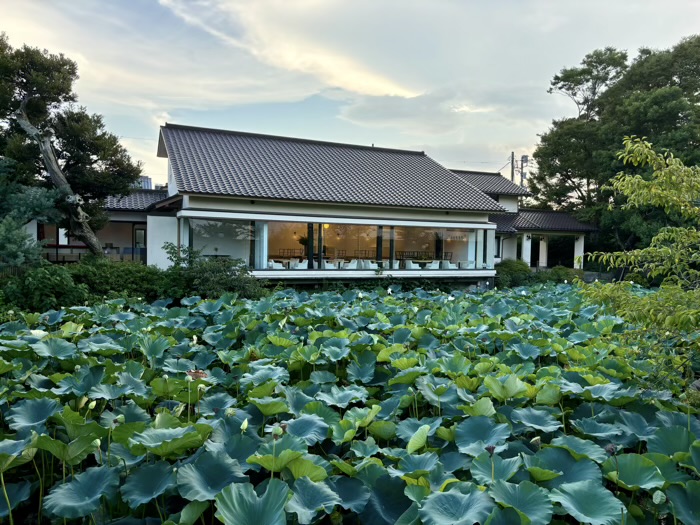 鎌倉　鶴岡八幡宮　茶寮 風の社