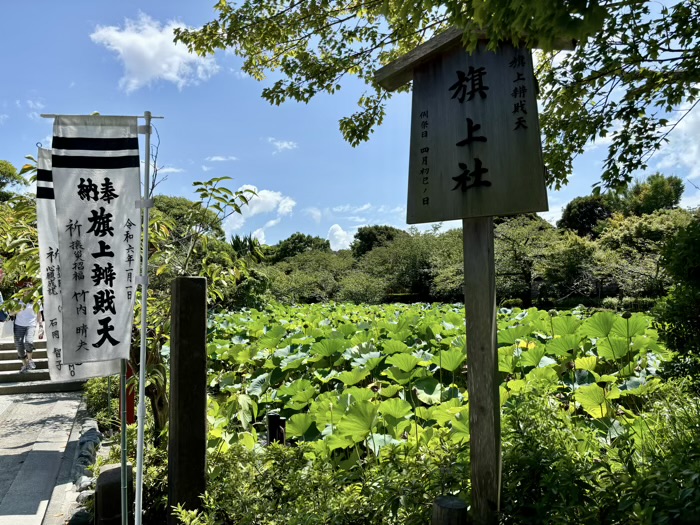 鎌倉　鶴岡八幡宮　旗上弁財天社　源氏池