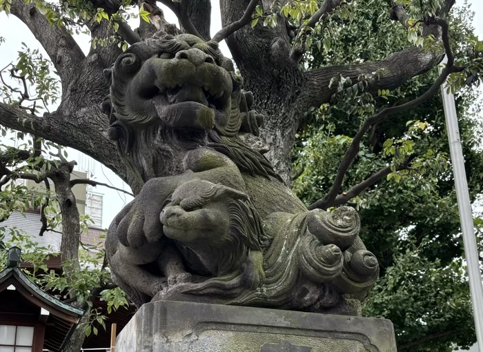 東京　目黒　大鳥神社　狛犬