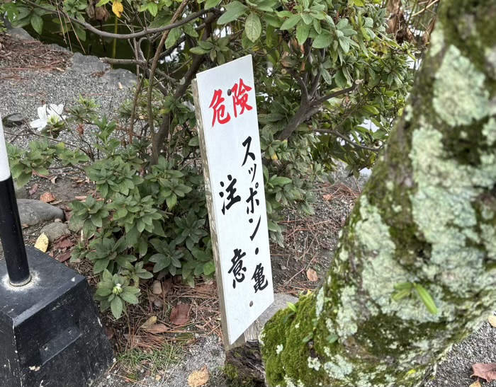 鎌倉　鶴岡八幡宮　旗上弁財天社