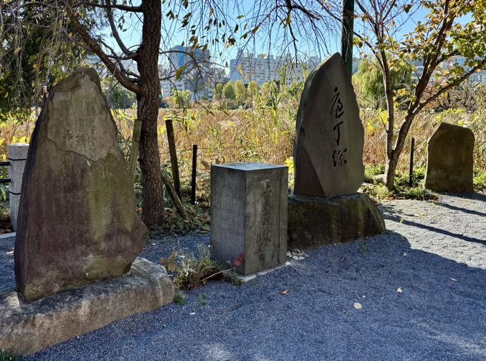 東京　上野　寛永寺　不忍池辯天堂