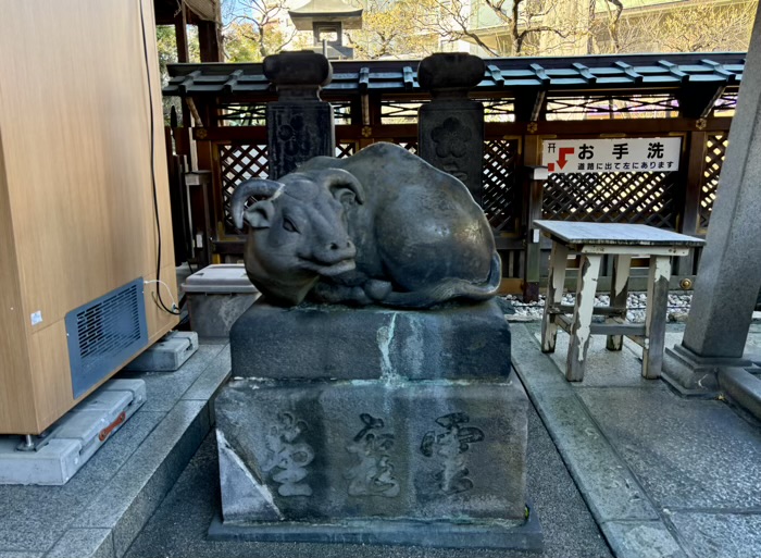 東京　文京区　湯島天満宮　撫で牛