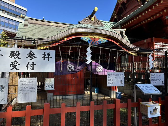 東京　千代田区　神田明神（神田神社）　神馬「あかりちゃん」