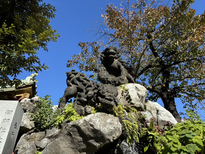 東京　千代田区　神田明神（神田神社）　獅子山