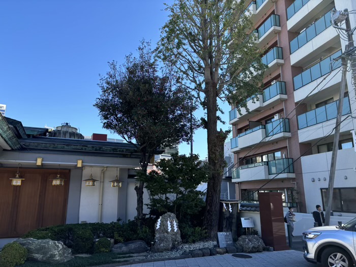 東京　千代田区　神田明神（神田神社）　大公孫樹