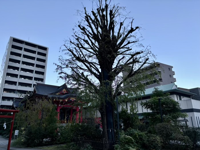 東京　新宿　成子天神社