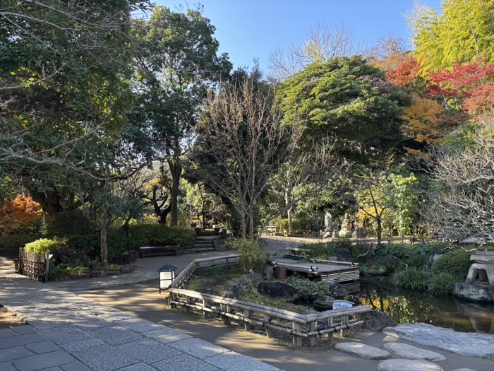 鎌倉　長谷寺　緑陰の庭