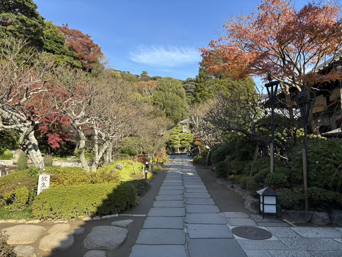 鎌倉　長谷寺　放生池と妙智池