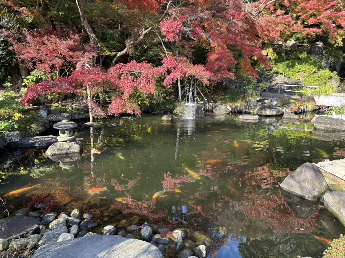 鎌倉　長谷寺　放生池と妙智池