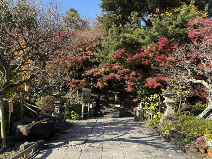 鎌倉　長谷寺　放生池と妙智池