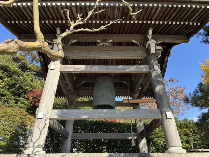 鎌倉　長谷寺　かきがら稲荷大明神　鐘桜