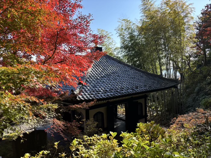 鎌倉　長谷寺　眺望散策路