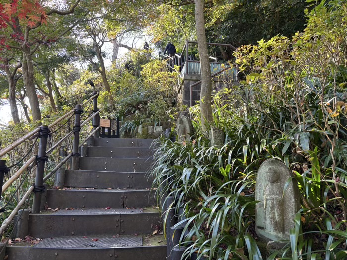 鎌倉　長谷寺　眺望散策路