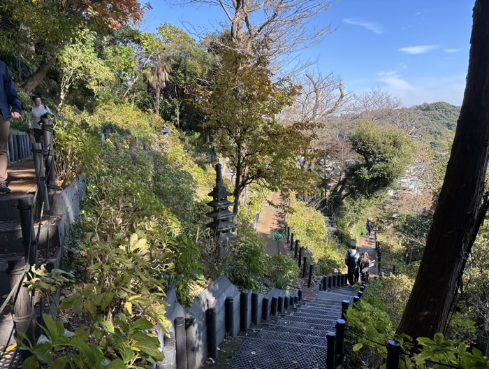 鎌倉　長谷寺　眺望散策路