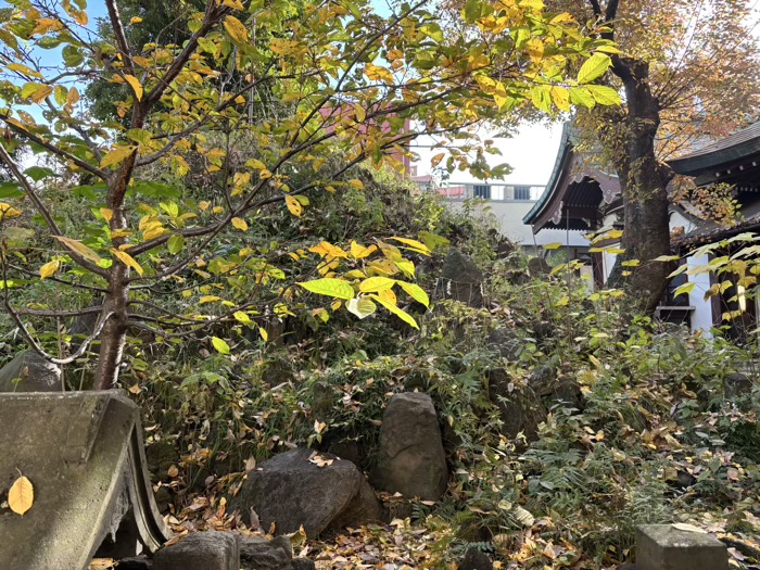 台東区　入谷　小野照崎神社　富士塚