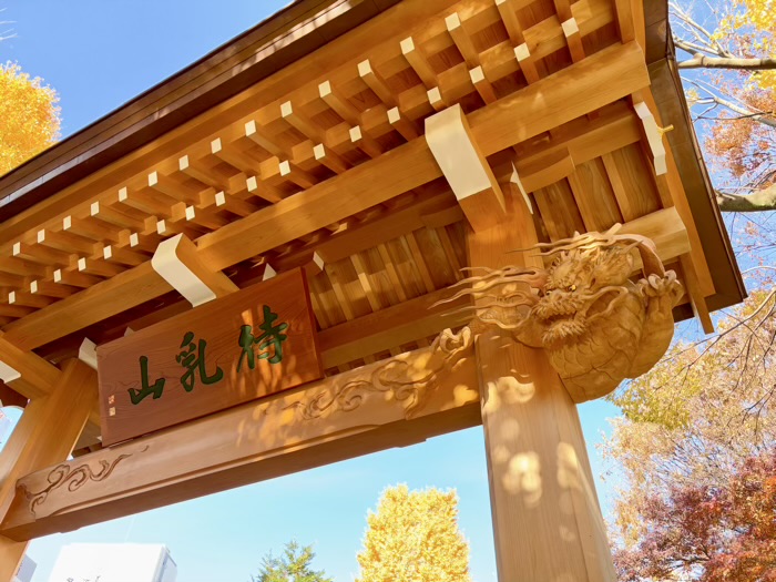 浅草　待乳山聖天　本龍院　山門