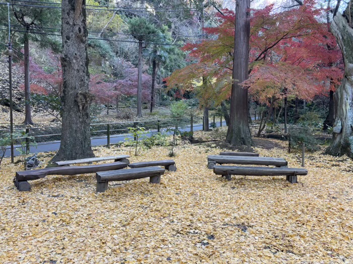 北鎌倉　浄智寺　曇華殿