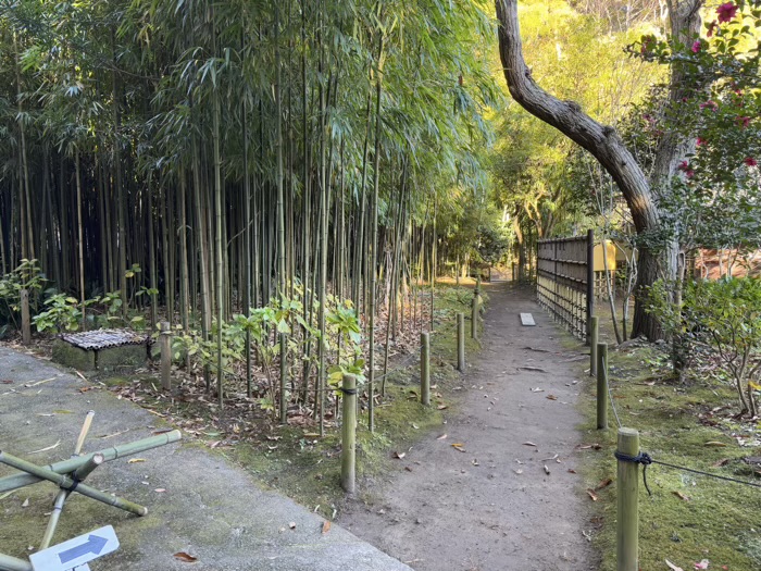 北鎌倉　浄智寺