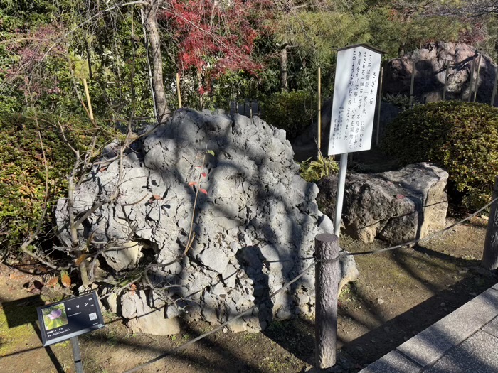 北鎌倉　建長寺　さざれ石