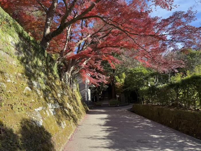 北鎌倉　建長寺　正統院