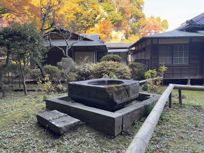 鎌倉　英勝寺　竹林