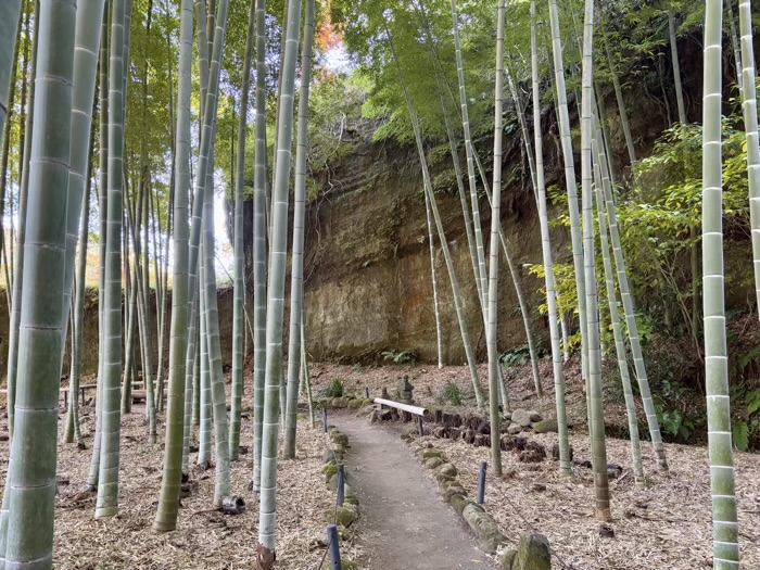 鎌倉　英勝寺　竹林